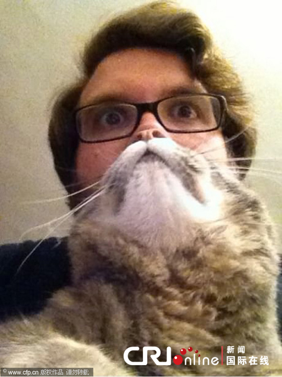 tyc7111cc太阳成集团