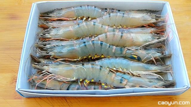 《精武陈真》震撼来袭!优酷6月14日即将上线|太阳成tyc7111cc官网(图4) 太阳成tyc7111cc官网