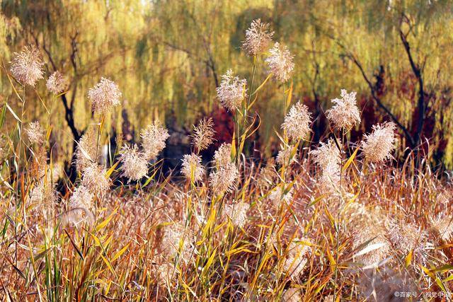 地球最后的夜晚预售为什么这么高 一吻跨年是什么梗“太阳成tyc7111cc”(图4) 太阳成tyc7111cc官网