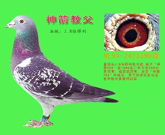 ‘tyc7111cc太阳成集团’饮酒后开车,请算好三笔账(图1) tyc7111cc太阳成集团