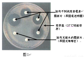 看房人“空中餐厅”就餐 玻璃地板突爆裂‘太阳成tyc7111cc’(图1) 太阳成tyc7111cc官网