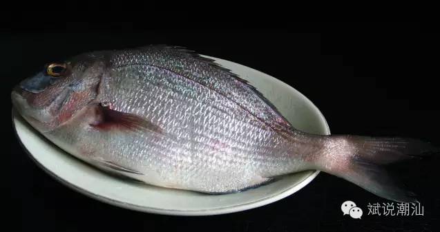 太阳成tyc7111cc官网