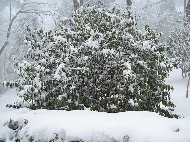 住建部、国家文物局公布第一批中国历史文化街区_太阳成tyc7111cc(图3) tyc7111cc太阳成集团