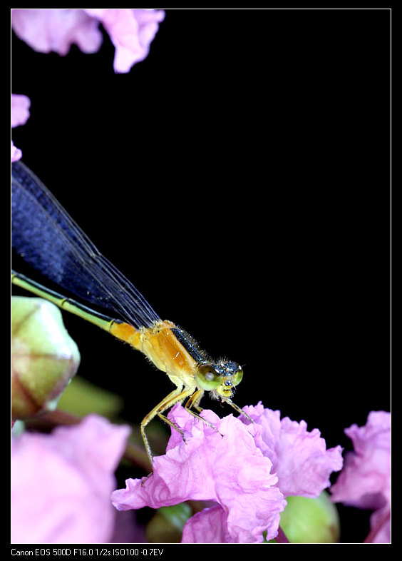 太阳成tyc7111cc官网