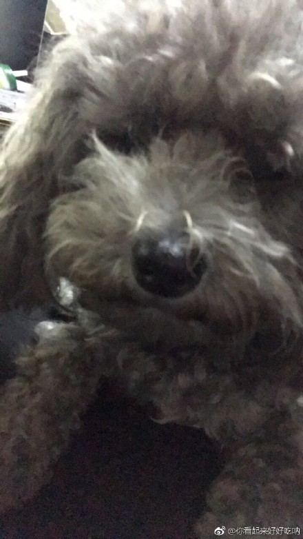 tyc7111cc太阳成集团