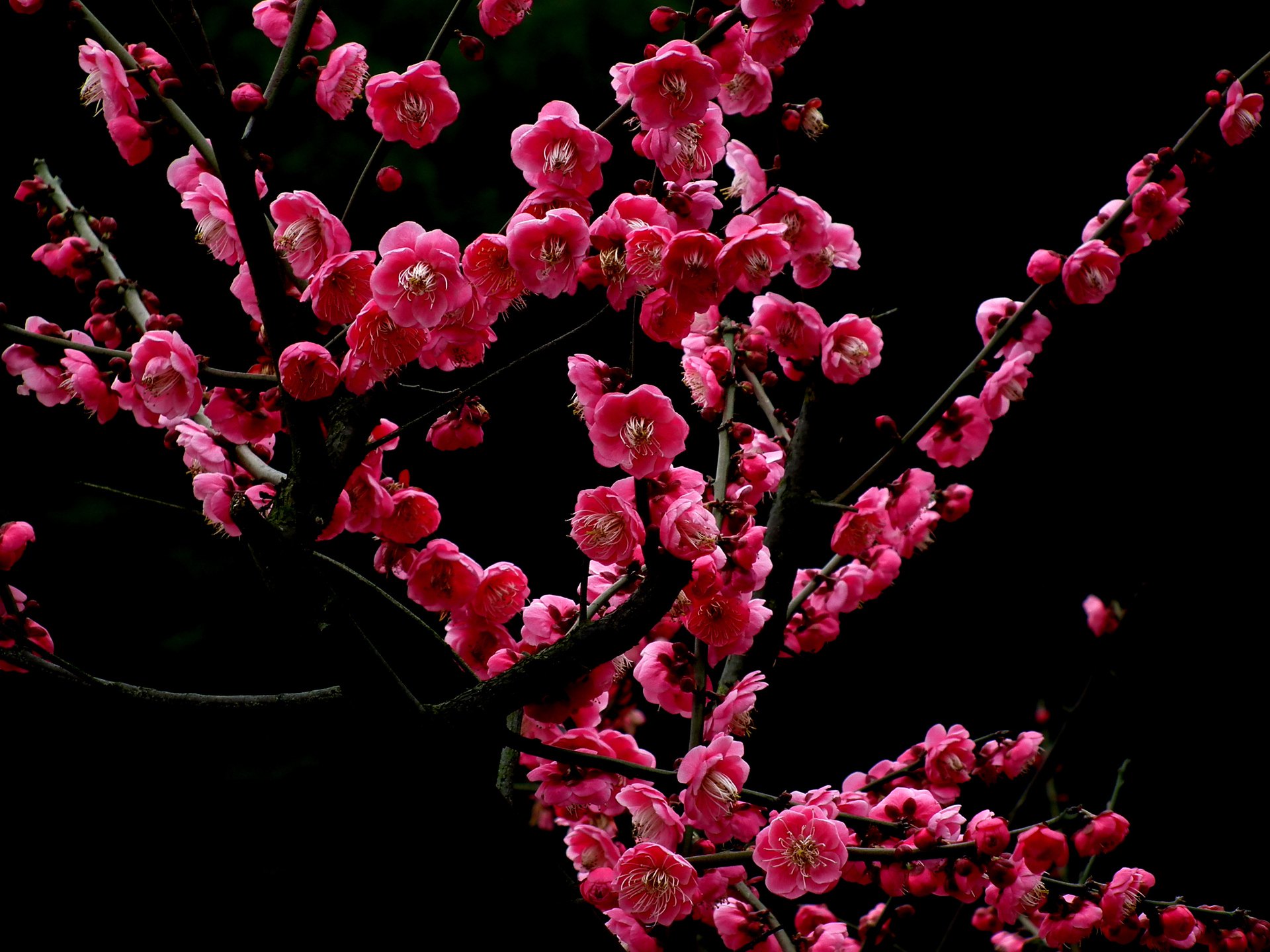 tyc7111cc太阳成集团