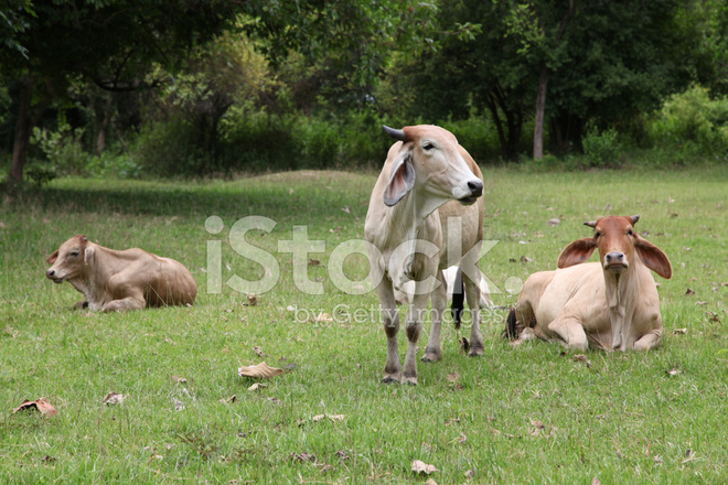 太阳成tyc7111cc官网