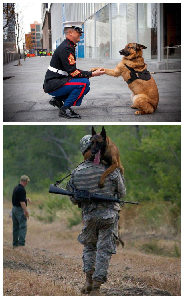 tyc7111cc太阳成集团