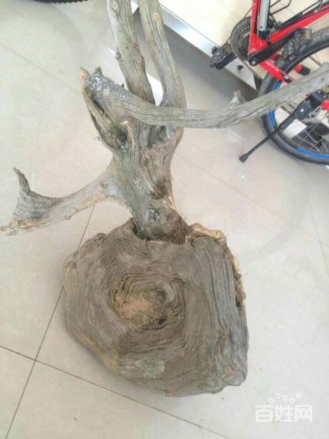 tyc7111cc太阳成集团