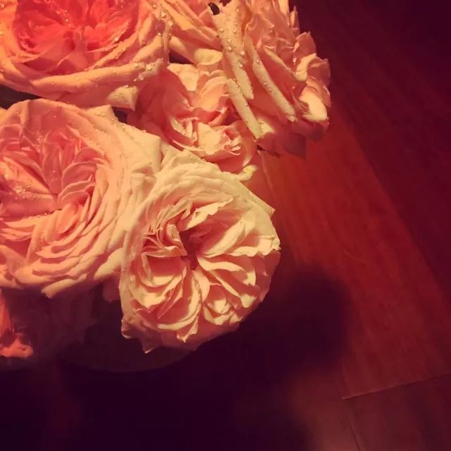 太阳成tyc7111cc官网