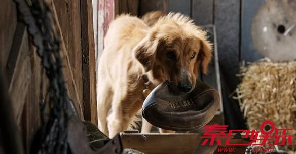 太阳成tyc7111cc官网